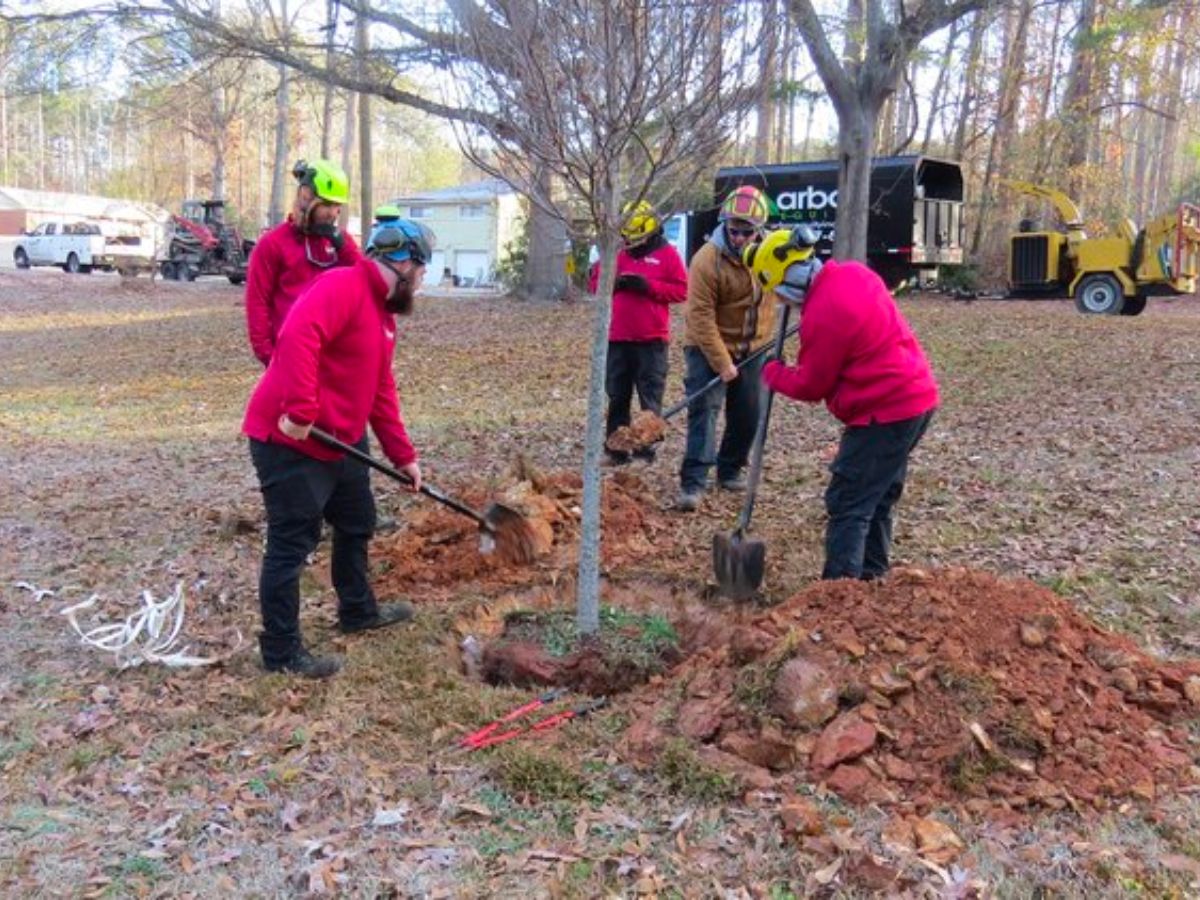 City of Oxford receives Georgia ReLeaf grant