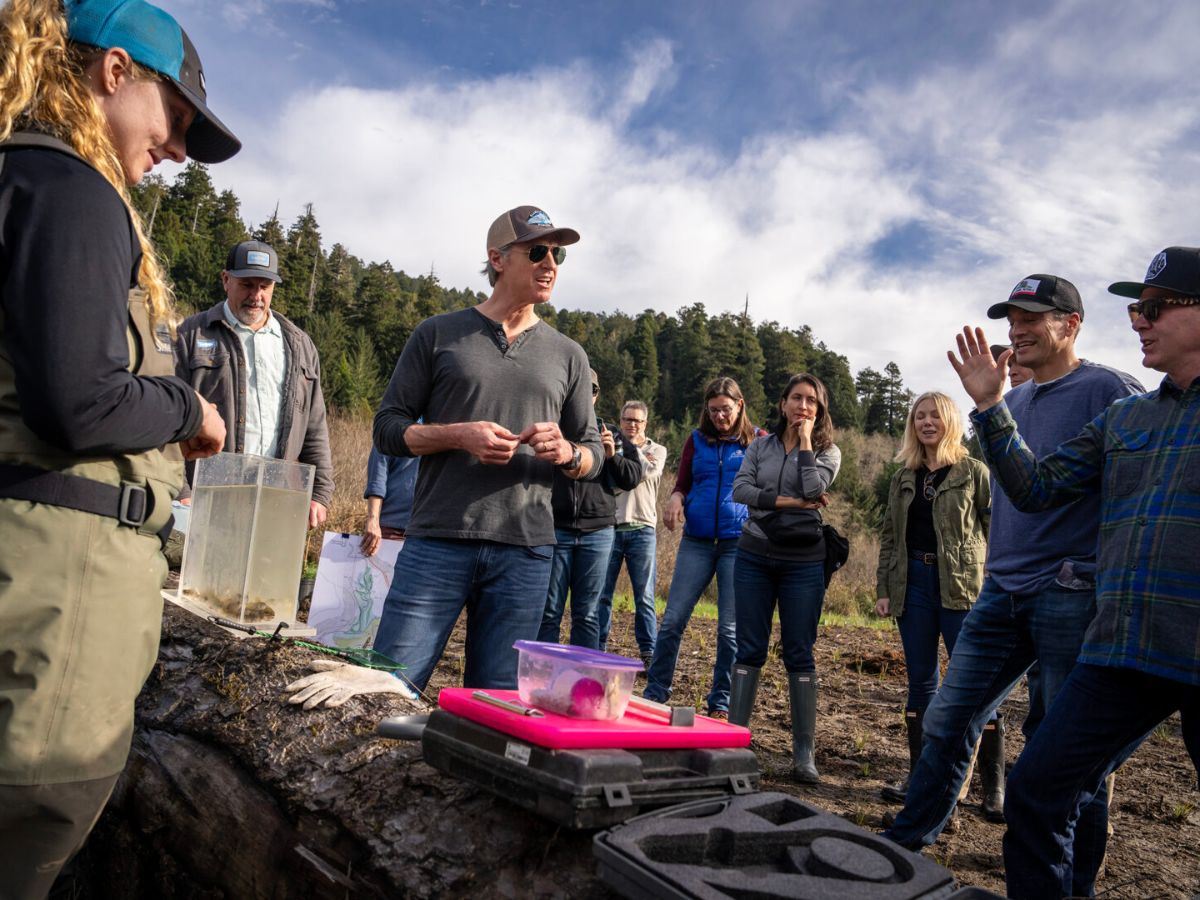 Gov. Newsom releases a new plan to save California salmon