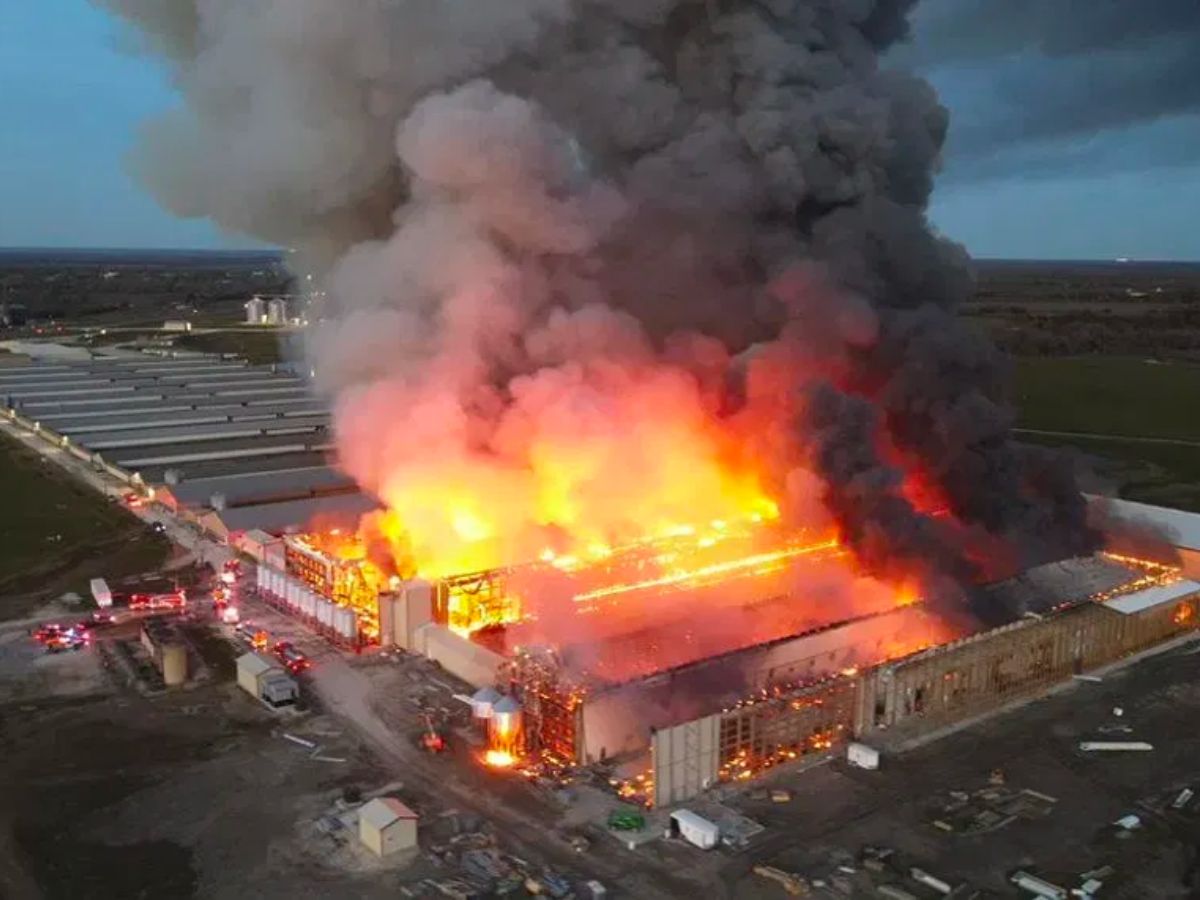 Texas chicken farm engulfed for hours in massive fire